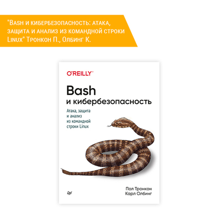 Книга: Тронкон П., Олбинг К. "Bash и кибербезопасность: атака, защита и анализ из командной строки Linux"