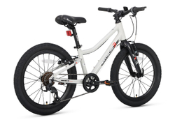Maxiscoo 3BIKE 20'' L (2025)