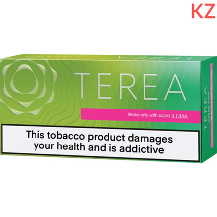 Terea Zing wave (Green zing) - табак с цитрусовыми, пряными травами и ментолом - Казахстан (блок - 10 пачек)