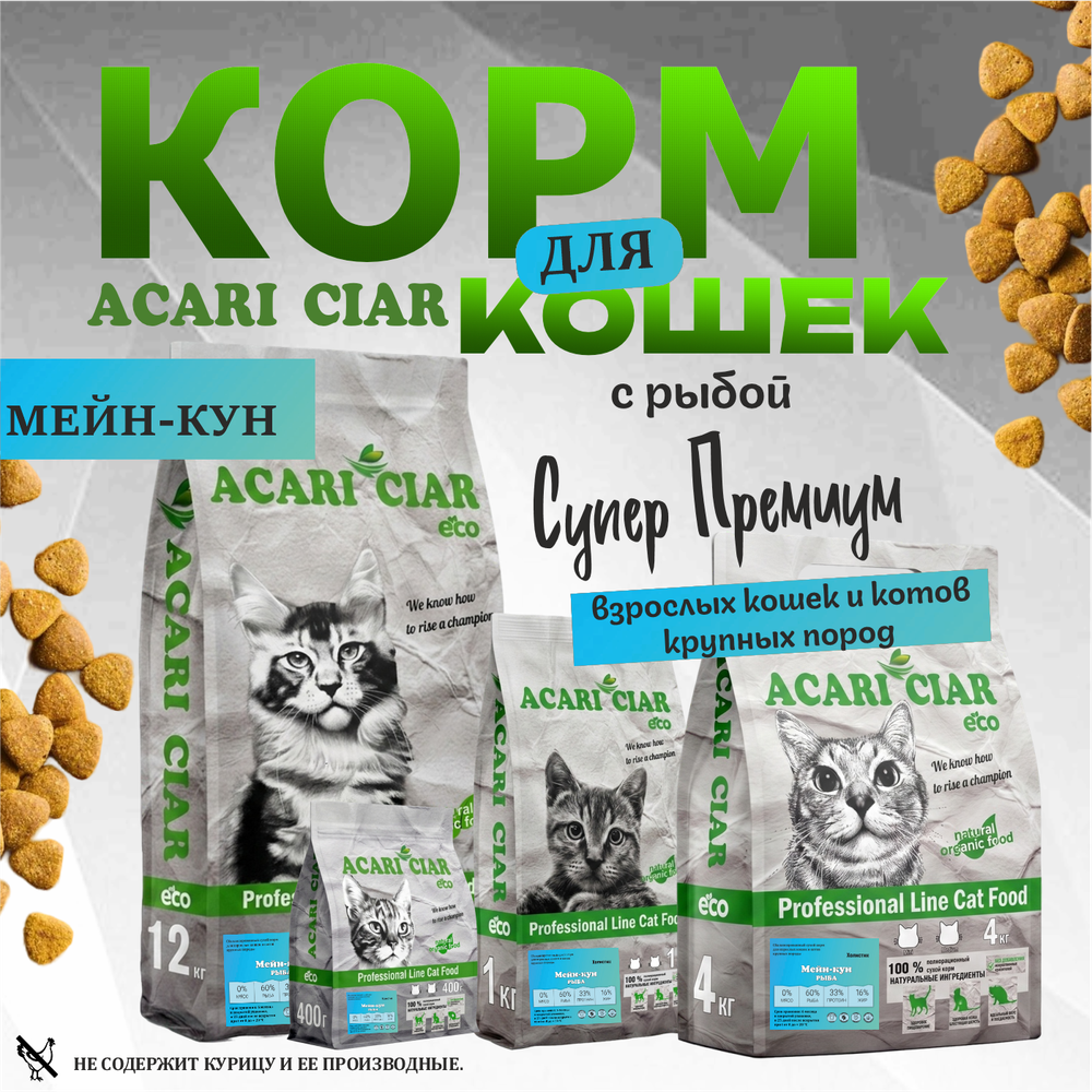 Acari Ciar А КЭТ Мейн-кун Рыба