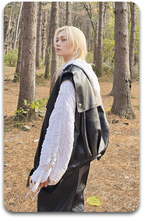 Карта / STRAY KIDS #2160