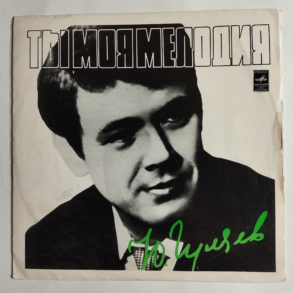 Винтажная виниловая пластинка LP Юрий Гуляев Ты Моя Мелодия (СССР 1974) (Журавли)