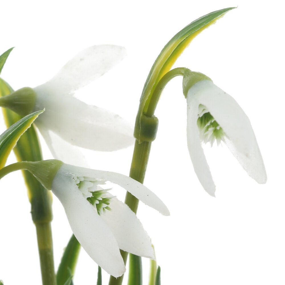 GAEM Цветочная композиция "Подснежники", L13 W12 H28 см