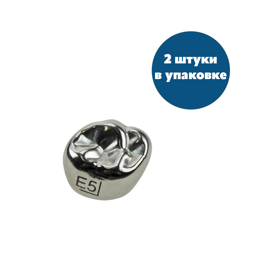 Второй верхний правый моляр, размер 5 (E-UR-5)