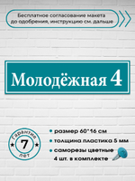 Адресная табличка на дом, 0004, 60х15 см.