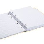 Тетрадь на кольцах 240л, А5, 7БЦ, Brauberg Miracle, твердый картон