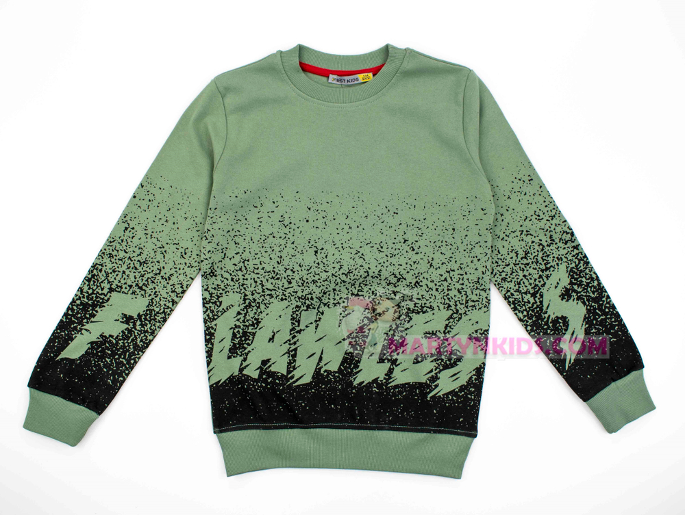 толстовка  FLOW LESS 3899