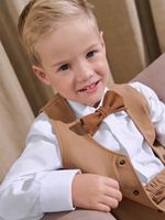 Галстук-бабочка "Песок"