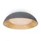 Потолочный светильник FR5277CL-L72GR Лунный свет / Moonlight 62 Вт LED с пультом ДУ Freya fr5277cl-l72gr