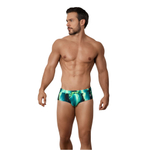 Зеленые плавки-брифы с принтом Torry Verde Swimsuit Brief (Размер: XL) (Цвет: зеленый)