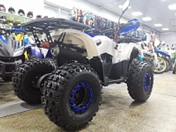 Квадроцикл PROMAX WILD 175 LUX