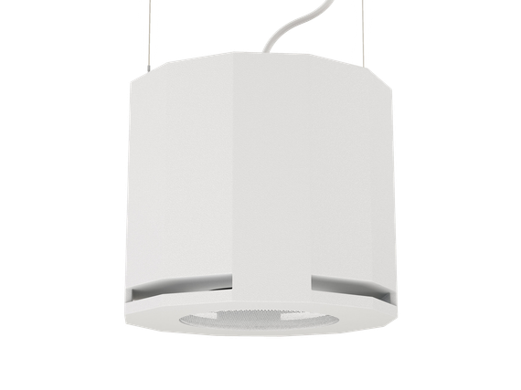 CVGAUDIO SUBone model D-6W/CR подвесной сабвуфер, мощность 80W/160W.