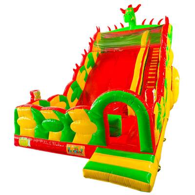 Коммерческий надувной батут-горка «Дракон 2», 11*6*8 м