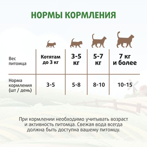 Лакомство Ферма кота Федора для кошек и котят, хрустящие подушечки с паштетом из курицы