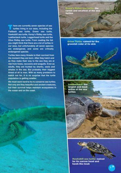 The Loggerhead. Reader. Книга для чтения.