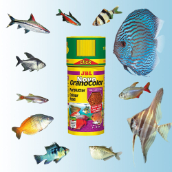JBL NovoGranoColor Click 250 мл - корм для рыб для усиления окраса (гранулы), банка с дозатором