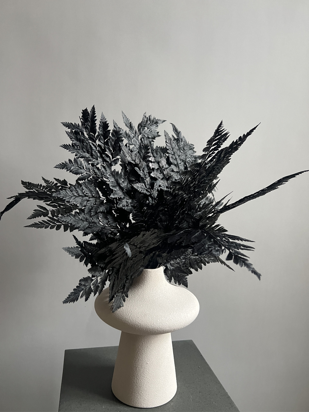 Папоротник черный