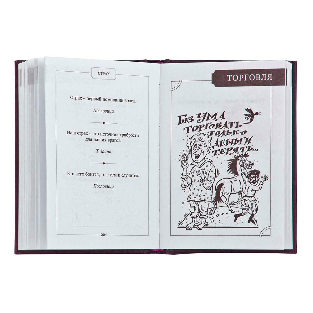 ПН-19 Подарочный набор "Кнут и пряник" (с книжкой)