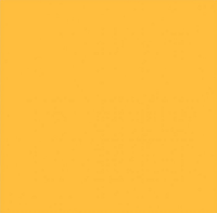 Фон бумажный FST 2,72X11 M 1014 GINGER имбирный