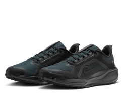 Кроссовки для бега мужские Nike Pegasus 41 Gore-Tex M Чёрные