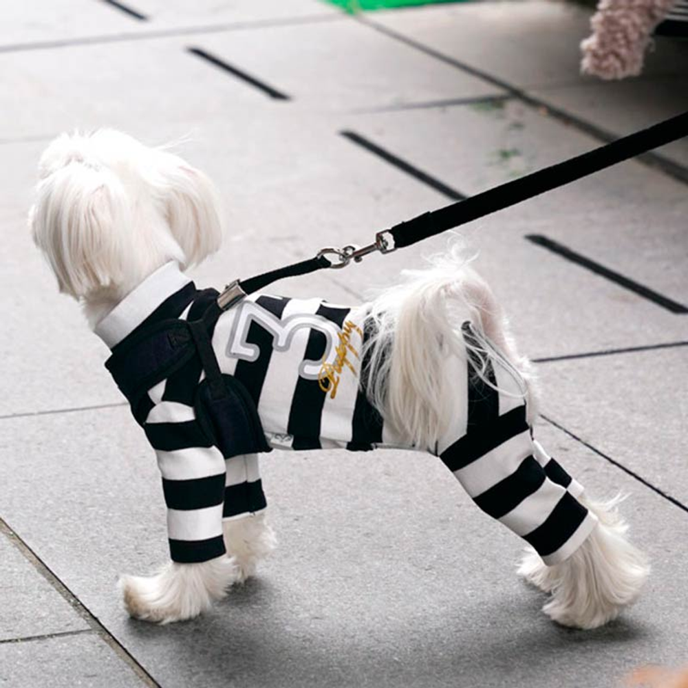 267 PA-OR Костюм спортивный "33", унисекс