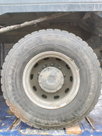 Shacman (Shaanxi) SX* 8x4 Самосвал SX33186T366 (Дизельный, 12,5 л, 550 л.с., МТ)