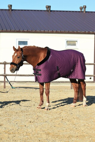 Попона с меховым подкладом Diamond Zest Violet