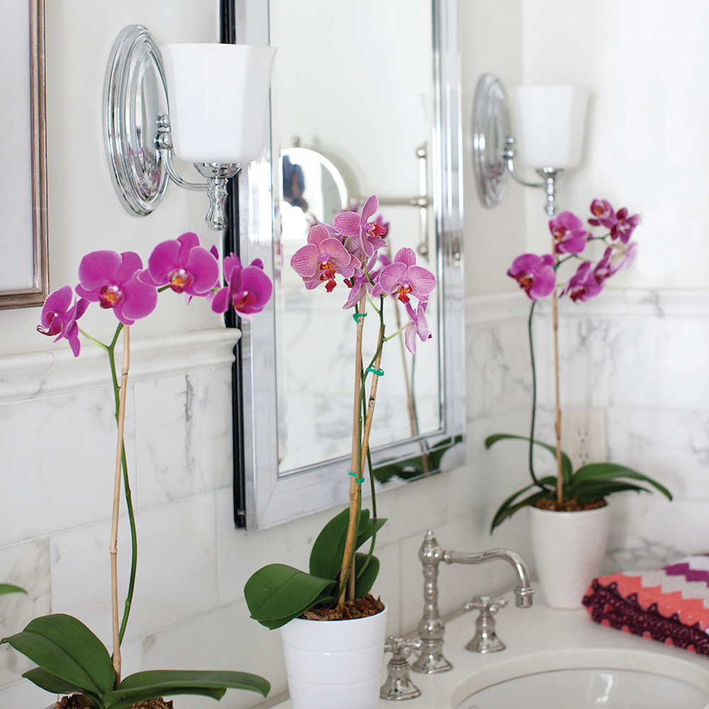 Бра для ванных комнат Hinkley, арт. HK-SHELLY1-BATH