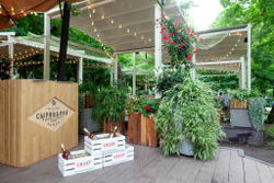 Пергола пристенная А2 (135*135)