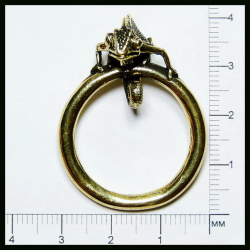 Брелок для ключей "Хамелеон - карманный друг" , латунь