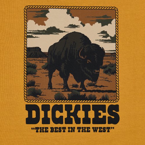 Футболка мужская Dickies Darrtown Short Sleeve Tee 