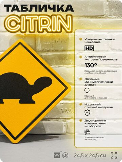 Табличка прикольная "Осторожно, черепахи" на дверь и стену, информационная и предупреждающая, декоративный знак, 24,5х24,5 см, пластиковая, Айдентика Технолоджи