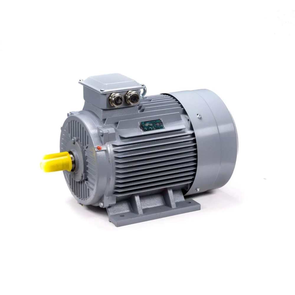 Электродвигатель ESQ PR 355 S4 GST-Б1-S32-IE2 250/1500 IM1001