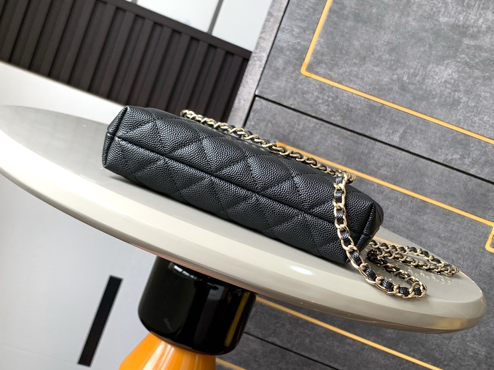 Chanel Bag 20 cm