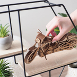 Деревянный конструктор Мотоцикл Гроза дорог (DROVO)