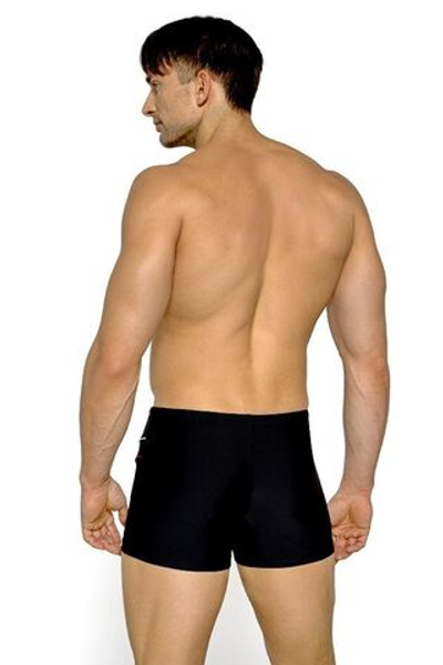 Мужские плавки-шорты (Размер: L) (Цвет: черный)