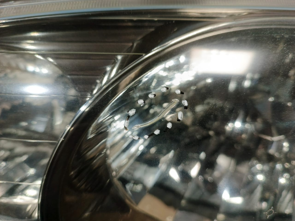 Фара передняя левая Honda ODYSSEY 1998-2004