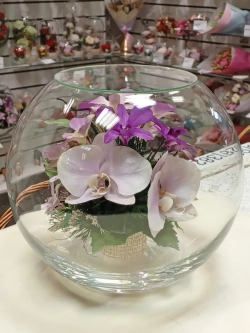 натуральные орхидеи в стекле, вакуум
