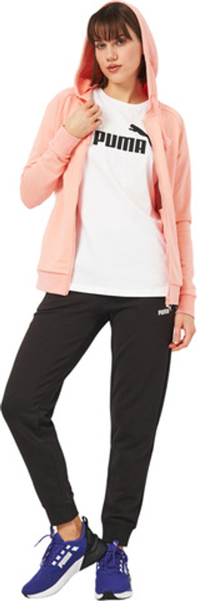 Костюм спортивный Puma Hooded Sweat Suit TR cl