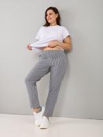 Брюки Бфл-229/полоса-антрацит