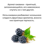 Ежевика, кубики восковые для ароматизации, 10 штук
