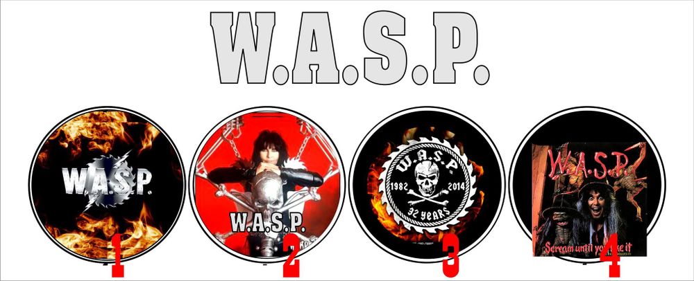 Значок W.A.S.P. ( в ассортименте )