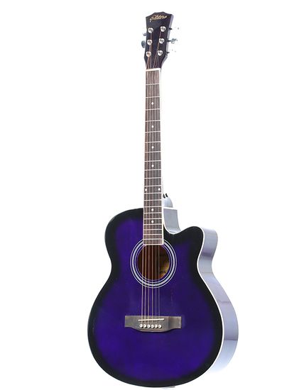 Акустическая гитара Elitaro E4010 VTS