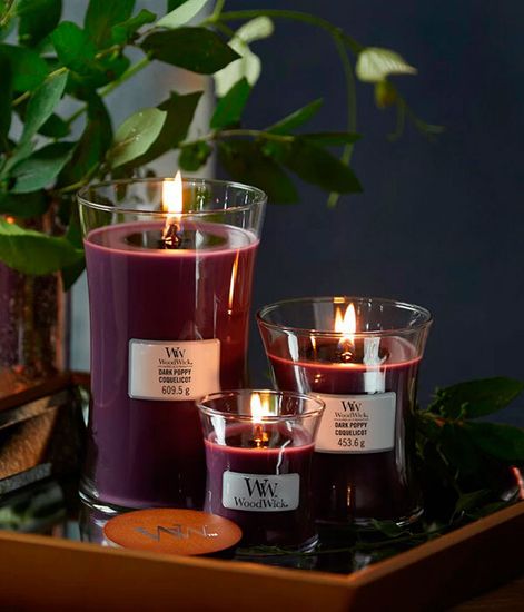 Пряная ежевика, ароматическая свеча, WoodWick