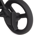 Коляска 2 в 1 ANEX Flo Lungo