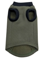 Одежда для кошек сфинкс гуччи