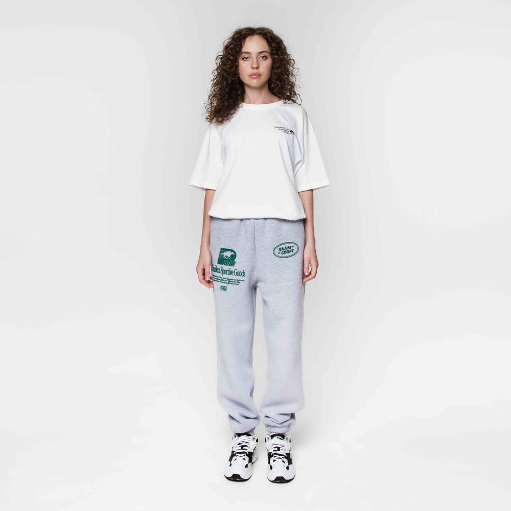 Спортивные штаны Dissident Sportive Goods серые