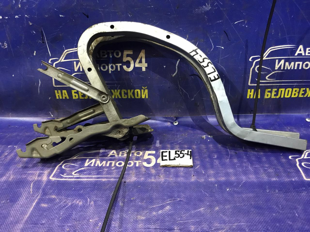 Петля багажника TOYOTA CORSA 1994