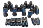 Бинокль Levenhuk Discovery Gator 10x25