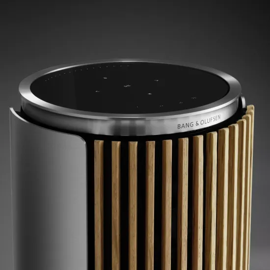 Bang & Olufsen Beolab 8 Silver/Oak, TS